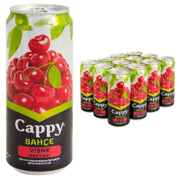 Cappy 330ml*24